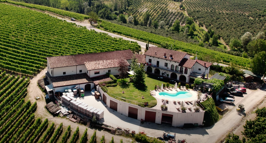 Riegel Bioweine: Un Partner di Fiducia nel Mondo del Vino Biologico